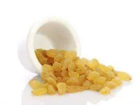 45-pet-secrets-raisins-sl.webp