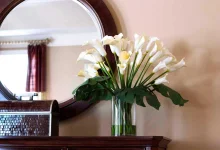 decorating-formulas-mirror-placement.webp