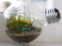 01-diy-lightbulbs-tiny-terrarium-fsl.webp