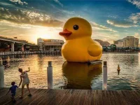 unexpected-art-rubber-duck-fsl.webp