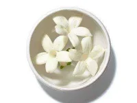 05-healing-scents-jasmine-sl.webp