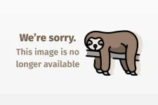 84338f.webp 84338f.webp