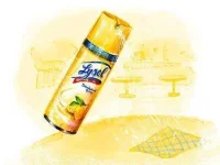 Lysol.webp
