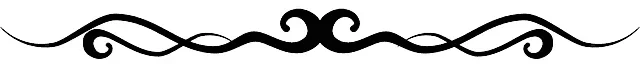 divider.webp divider.webp