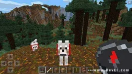 Minecraft3.webp Minecraft3.webp
