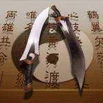 33654.webp