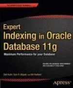 expert_indexing_in_oracle_database_11g.webp