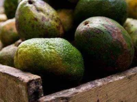 01-avocado-benefits-lower-cholesterol-sl.webp 01-avocado-benefits-lower-cholesterol-sl.webp