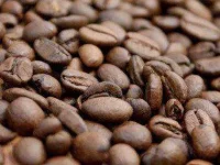 coffee-quiz-07-coffee-beans-sl.webp coffee-quiz-07-coffee-beans-sl.webp