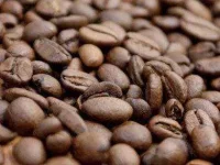 coffee-quiz-07-coffee-beans-sl.webp coffee-quiz-07-coffee-beans-sl.webp
