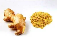 05-stomach-ginger-spices-sl.webp