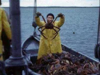 weird-phobias-shellfish.webp weird-phobias-shellfish.webp
