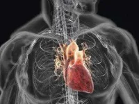 07-DEC-health-digest-heart-sl.webp