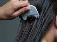 15-coconut-oil-lice-sl.webp 15-coconut-oil-lice-sl.webp
