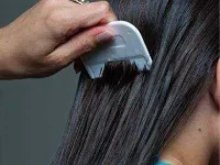 15-coconut-oil-lice-sl.webp 15-coconut-oil-lice-sl.webp