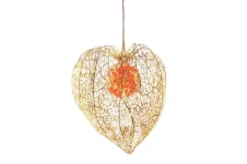 seeds1.webp
