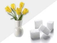 02-sugar-fresh-flowers0sl.webp 02-sugar-fresh-flowers0sl.webp