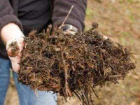 13-uses-for-coffee-04-compost-sl.webp