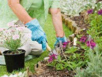 at-the-weekend-slump-while-dieting-10-gardening-sl.webp