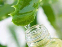 02-aloe-vera-poison-ivy-sl.webp 02-aloe-vera-poison-ivy-sl.webp
