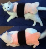 iest-pet-halloween-costumes-large-msg-134706159419.webp iest-pet-halloween-costumes-large-msg-134706159419.webp