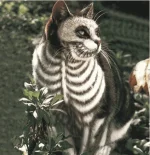 skeleton-cat-1.webp skeleton-cat-1.webp