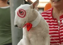 adorable-diy-halloween-costumes-for-dogs-cats.w654.webp adorable-diy-halloween-costumes-for-dogs-cats.w654.webp