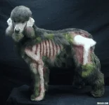 dog-halloween-costume-zombie-poodle-1.webp dog-halloween-costume-zombie-poodle-1.webp