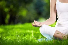 meditation-field.webp meditation-field.webp