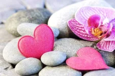 hearts-pink.webp hearts-pink.webp
