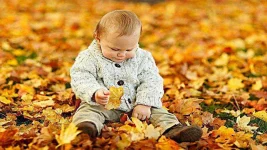 toddler.webp