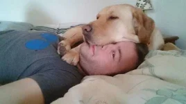 3105-650-1450180139-24-dogs-being-assholes-2.webp