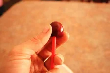 Cherry.webp Cherry.webp