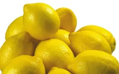 10-Lemon-1024x640.webp 10-Lemon-1024x640.webp