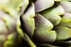 14-aphrodisiac-foods-artichokes.webp 14-aphrodisiac-foods-artichokes.webp