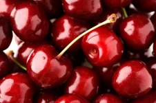 17-aphrodisiac-foods-cherries.webp 17-aphrodisiac-foods-cherries.webp