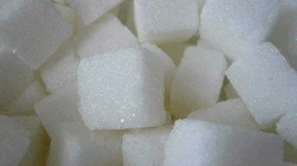 sweet-sugar-potsdam.webp sweet-sugar-potsdam.webp