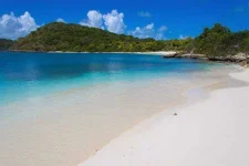 beach1.webp beach1.webp