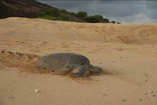 beach5.webp beach5.webp