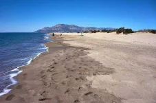 beach11.webp beach11.webp