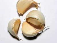 FHh7j83.webp