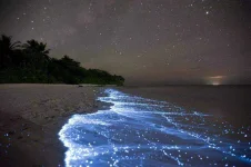 Maldives.webp Maldives.webp