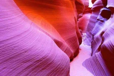Antelope.webp Antelope.webp