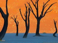 Deadvlei-Namibia.webp Deadvlei-Namibia.webp
