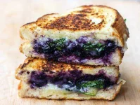 BalsamicBlueberryGrilledCheese.webp BalsamicBlueberryGrilledCheese.webp