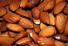 almond-83766_640-1.webp almond-83766_640-1.webp