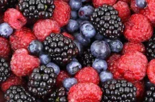 background-2277_640.webp background-2277_640.webp