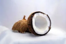 coconut-1125_640.webp coconut-1125_640.webp