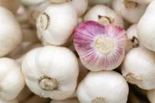 aromatic-84691_640.webp aromatic-84691_640.webp