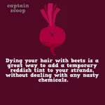 interesting-facts-about-vegetables-31__880.webp